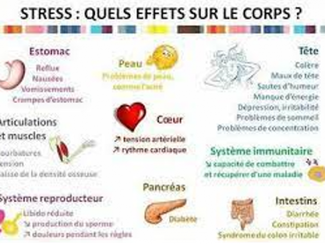 les effets du stress sur le corps physiques, phychologiques, émotionnels