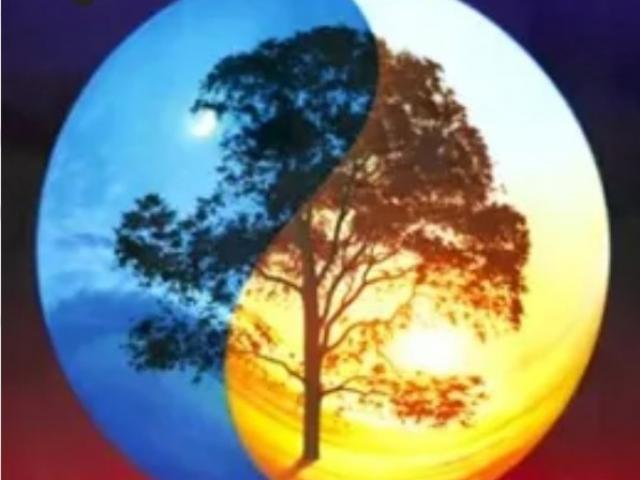 le yin et le yang symbole, signification, origine et comment être en équilibre